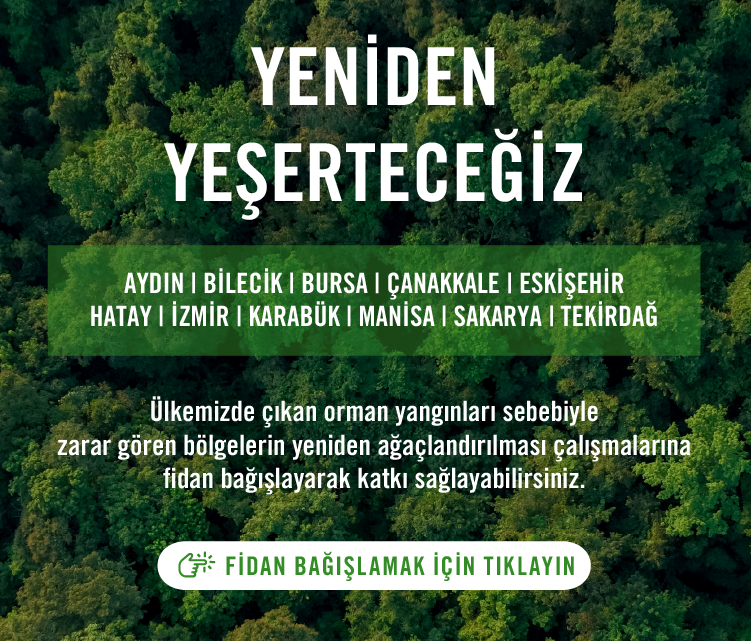 https://cdn-tema.mncdn.com/Uploads/Cms/1125x959-banner2x.png