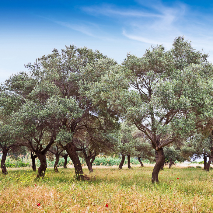 ,,,,,,,,,,,,,,,,,,,,,,,,,,,,,,,,,,,,,,,,,,,,,,,,,,,,,,,,,,,,,,,,,,,,,,,,,,,,,,,,,,,,,,,,,,,,,,,,,,,,,