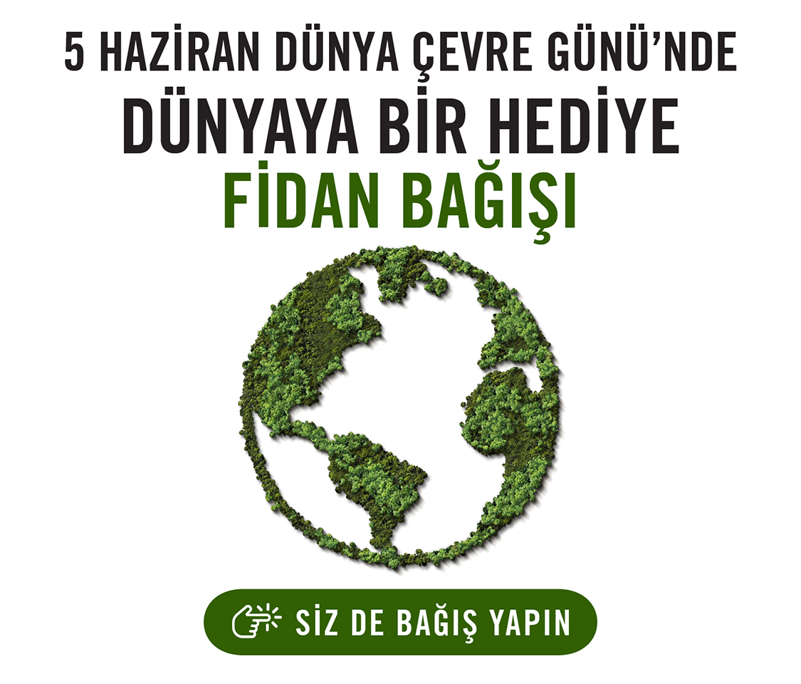 https://cdn-tema.mncdn.com/Uploads/Cms/__1125x959-banner_2.jpg