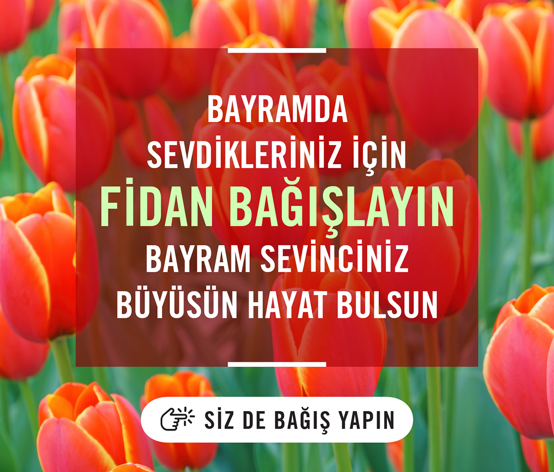 https://cdn-tema.mncdn.com/Uploads/Cms/__1125x959-banner_3.jpg