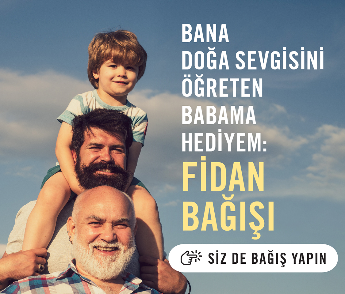 https://cdn-tema.mncdn.com/Uploads/Cms/__1125x959-banner_4.jpg