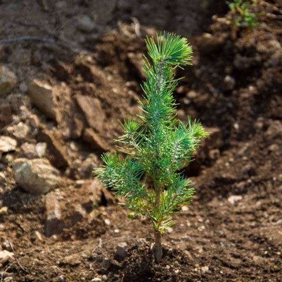 ,,,,,,,,,,,,,,,,,,,,,,,,,,,,,,,,,,,,,,,,,,,,,,,,,,,,,,,,,,,,,,,,,,,,,,,,,,,,,,,,,,,,,,,,,,,,,,,,,,,,,,,,,,,,,,,,,,,,,,,,,,,,,,,,,,,,,,,,,,,,,,,,,,,,,,,,,,,,,,,,,,,,,,,,,,,,,,,,,,,,,,,,,,,,,,,,,,,,,,,,,,,,,,,,,,,,,,,,,,,,,,,,,,,,,,,,,,,,,,,,,,,,,,,,,,,,,,,,,,,,,,,,,,,,,,,,