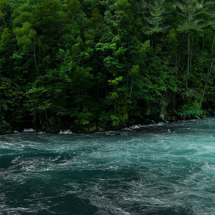 ,,,,,,,,,,,,,,,,,,,,,,,,,,,,,,,,,,,,,,,,,,,,,,,,,,,,,,,,,,,,,,,,,,