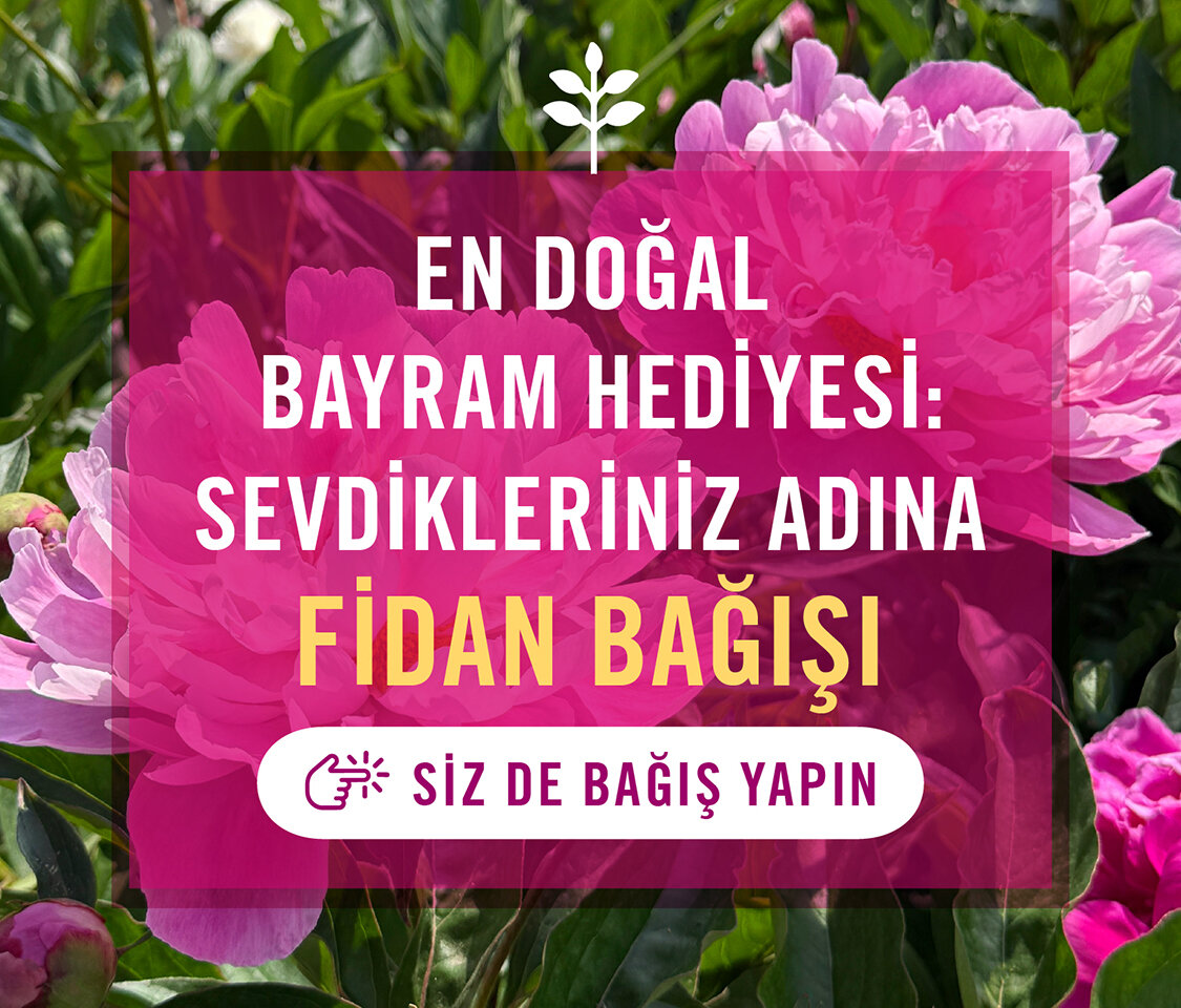https://cdn-tema.mncdn.com/Uploads/Cms/uyarlama-boyutlar_1125x959-banner.jpg